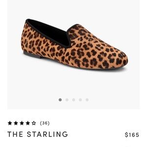 Birdies leopard Starling-near perfect